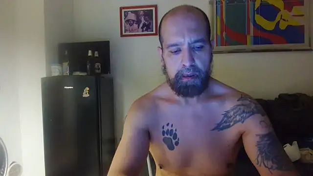 AMIRDIB2025 webcam