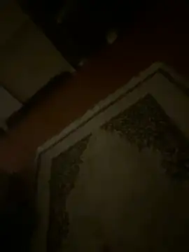 dragon_ndragos webcam