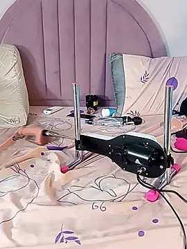 Nalapalmer webcam