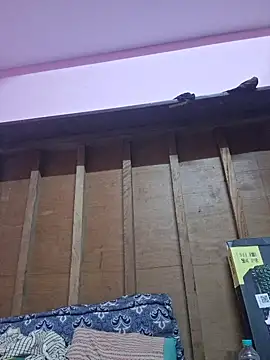 Alishaaroralive webcam