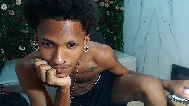 ManSant webcam