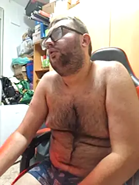 Javier_bear webcam