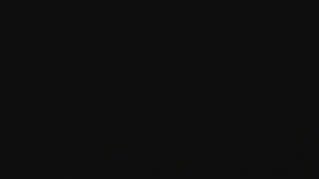 Eirlysx webcam