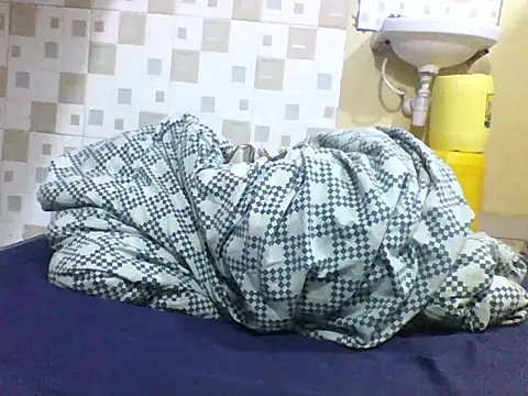 Offchart webcam