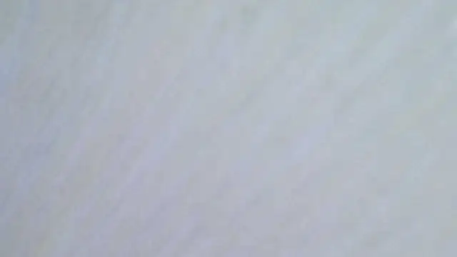 karol_stom webcam