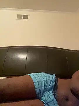 ThickDic28 webcam