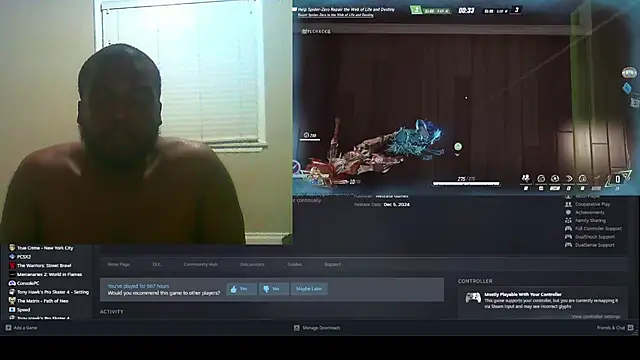 sneakdalink webcam