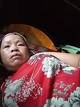 Ip34 webcam