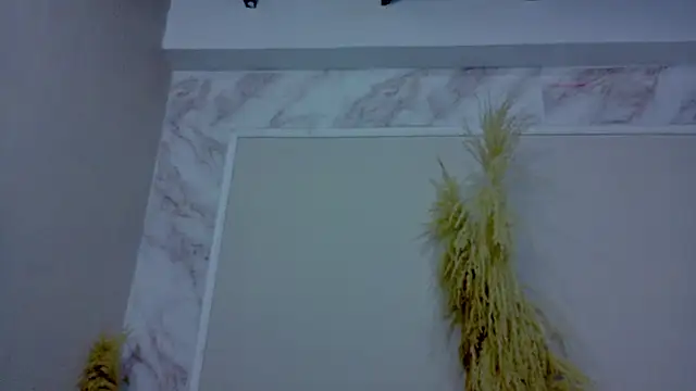 Onawa_ webcam