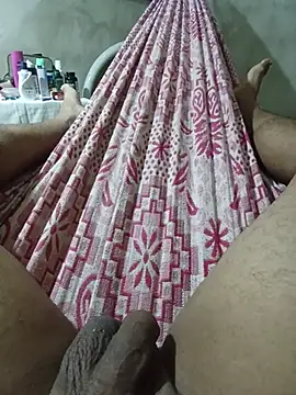 assis0084 webcam