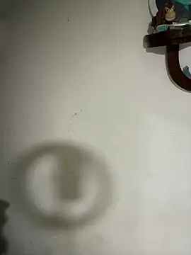 LatinBearX webcam