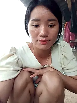 Td3di webcam