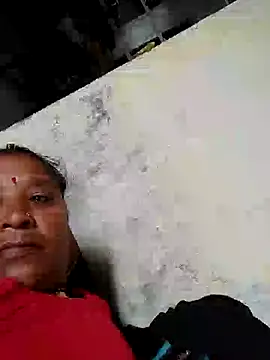 Loomaraj webcam