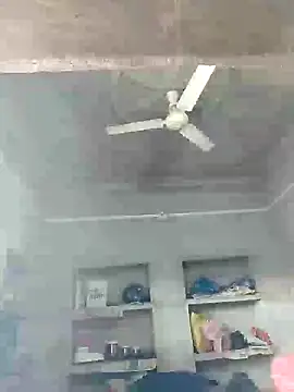 Loomaraj webcam
