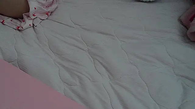 Haohchang webcam