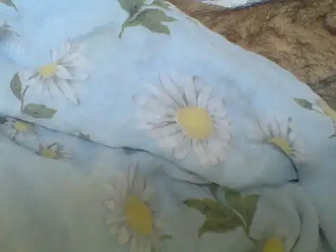 Nowy111 webcam