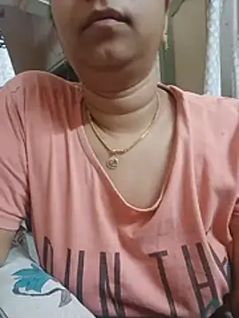 Hansikatelugu webcam