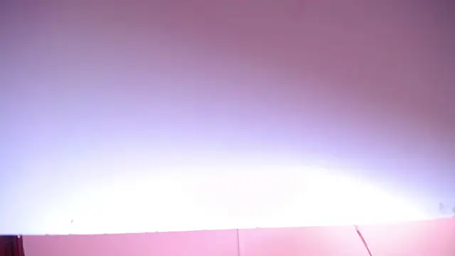 salomecastro_ webcam