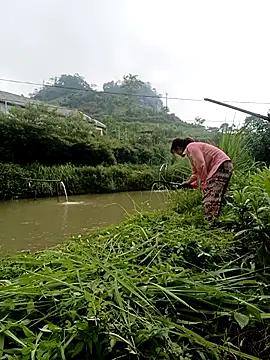 Linda-yiyi webcam