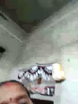 Loomaraj webcam