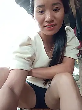Td3di webcam