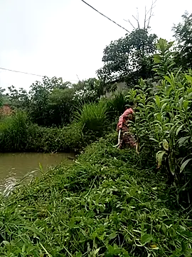 Linda-yiyi webcam