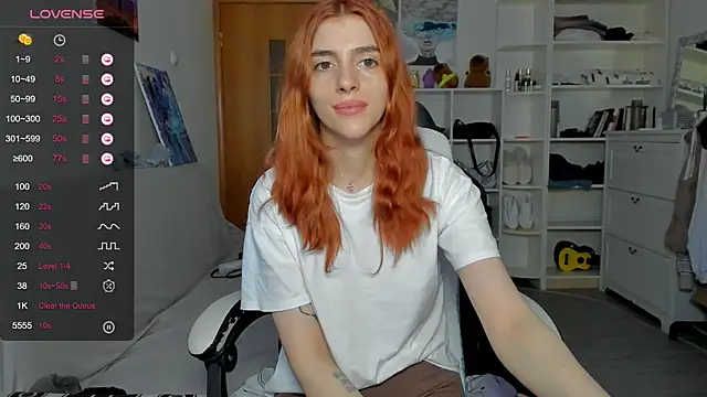 broosnica1 webcam