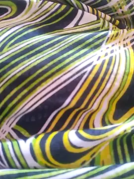 Ravina_patil1 webcam
