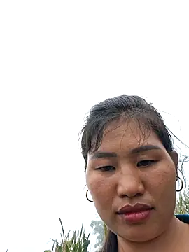 diamond-- webcam