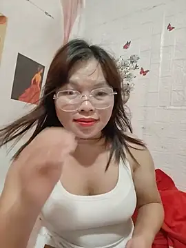 Cover-baa webcam
