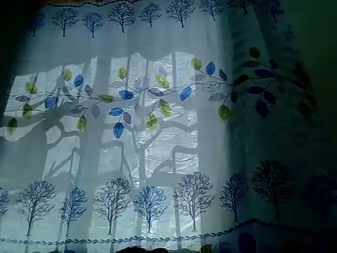 Pretty_min webcam