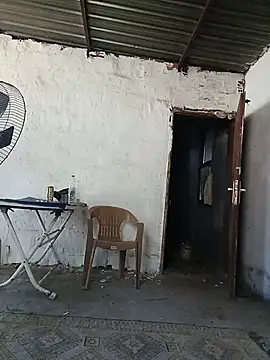 Sikici0734