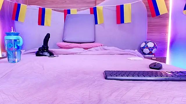Auroraa_miller webcam