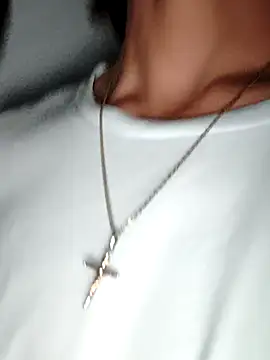 Exlifer webcam
