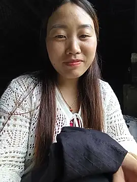 he-se-kin webcam
