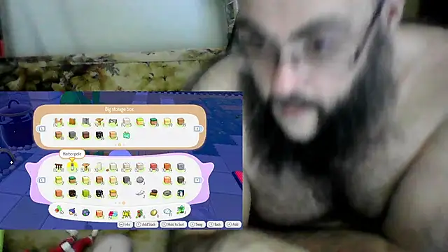 BriTheTopBear webcam