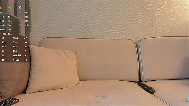SageFrommer webcam