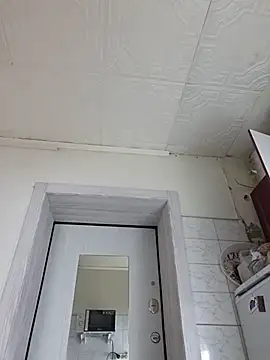 LedyEva webcam