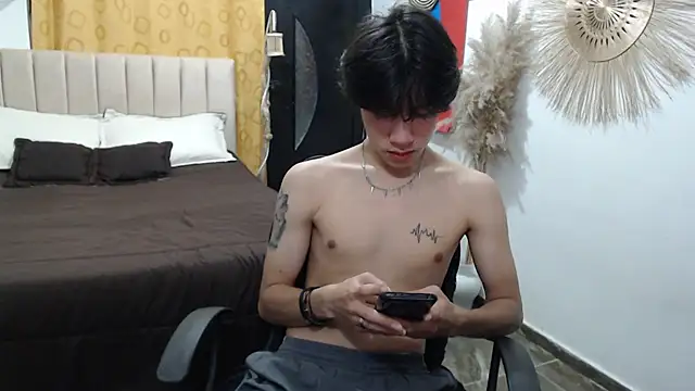 Elio-cam webcam