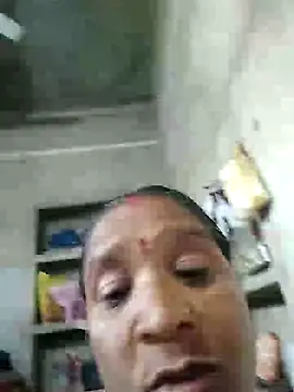 Loomaraj webcam
