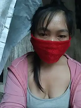 Hiha-nn webcam