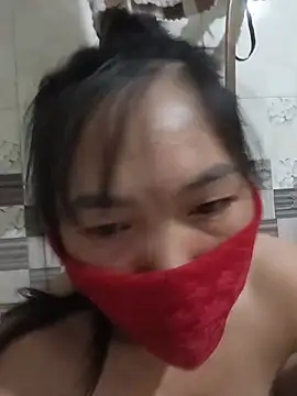 Hiha-nn webcam