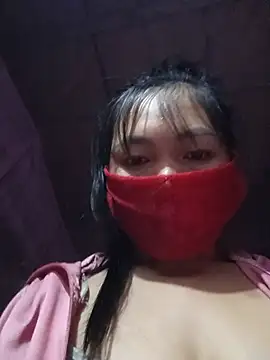 Hiha-nn webcam