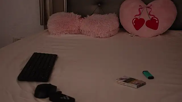 Alexxa webcam