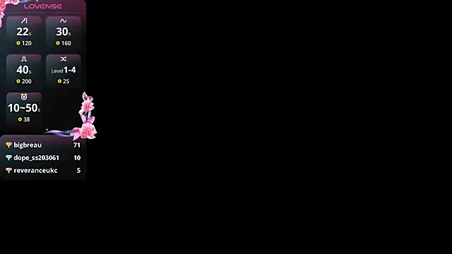 Liesenaniles webcam