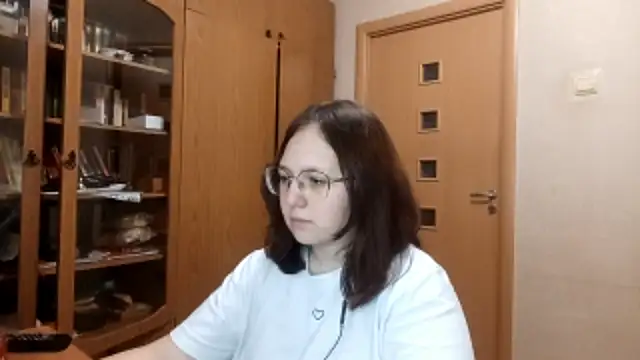 AmeliaHomes webcam