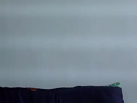 usha__004 webcam