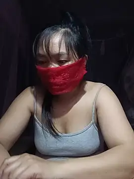 Hiha-nn webcam