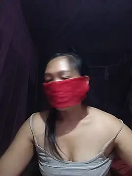 Hiha-nn webcam