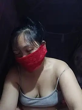 Hiha-nn webcam